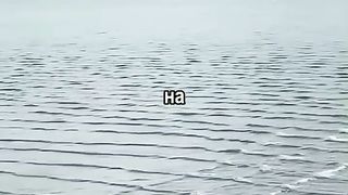 Квадратные волны, красивое и смертельное явление