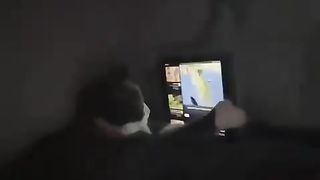 The Cat ????????