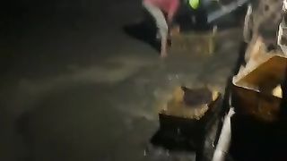Begini gambaran panen lele dikolam TANAH pada MALAM hari❗Kami sudah terbiasa