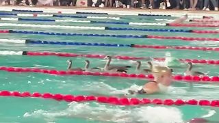 Duck joins swimming competition
