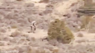 What is this strange creature? Is the end near?