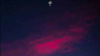 NEFFEX - Stay Strong (Lyrics)