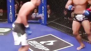These MMA Moves Are Shocking #mma #ufc #legkick #ko #video #bellator #onefc #finish #fighting #best  35K