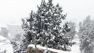 Ziarat snow fall season