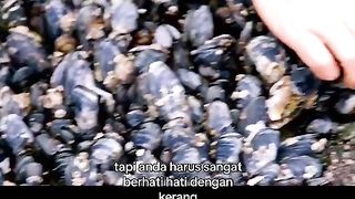 Mencoba Bertahan Hidup Dipulau