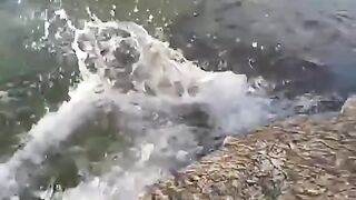 #funny
