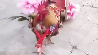 #funny
