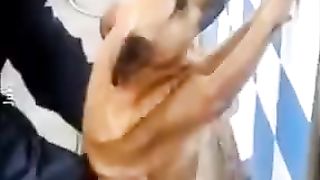 #funny