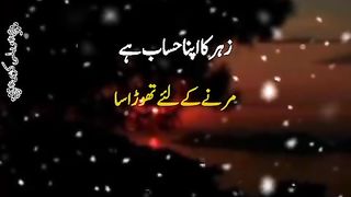 Zehaar ka Hisaab