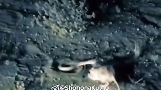 Устоз Шифуни ҳаётий варианти