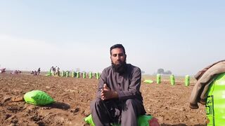 Earn Money with Agricultural business mind