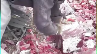 Anchor Drop - Biggest Heavy Huge Anchor Chain