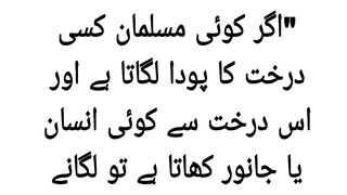 Sahih bukhari hadees#6012