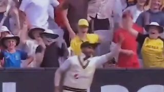The best moments of cricket
