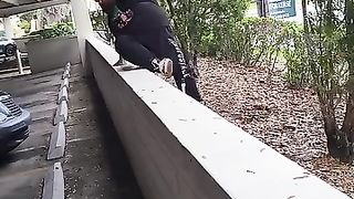 he full line before the knee slam