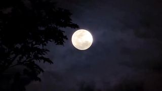 MOONLIGHT AT NIGHT