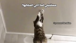 مقاطع مضحكه