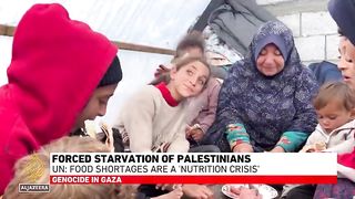 Palestinians in Gaza, living in fear and horror, are now starving to death