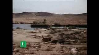 BONANZA -  A Senhora e a Marca (Legendado)