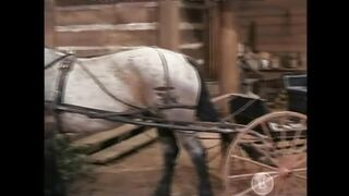 BONANZA -  Meredith Smith  (Legendado)