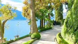 سبحان الخالق
