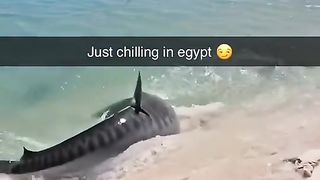 I didn't want to swim right away