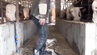 Старина, съеби нахуй