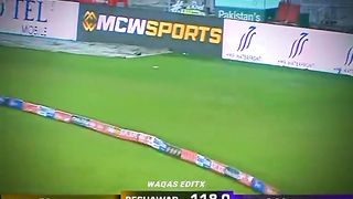 Cricket videos