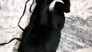 Tom Gato Cruise em Missão: Impossível 8