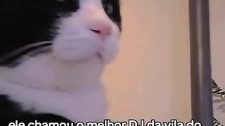 O empresário musical Itati Wiskas chama o melhor DJ da vila Pernilongo para a festa de fim de ano