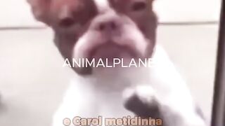 Cleitinho Fubá e seus amigos dançando