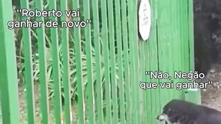 Pré-candidatos a prefeito da cidade dos fofoqueiros