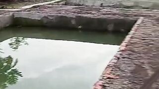 Design kolam kalian senyaman mungkin, dimana kalian nyaman diam dikolam, insyaallah ikan juga