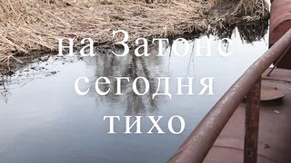 Новое задание от Сидоровича на Затоне