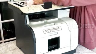 Printer for copying kittens