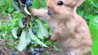 Cute baby
