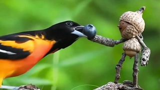 Amazing moments funny events.