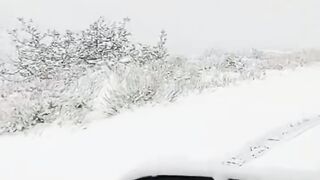 Today ziarat balochistan weather.