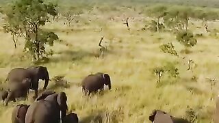 FLYING OVER NETHERLANDS (4K UHD) - Calming Music With Stunning Natural Landscape