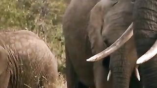 FLYING OVER NETHERLANDS (4K UHD) - Calming Music With Stunning Natural Landscape