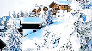 Winter wonderland