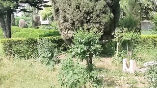 Hd video,