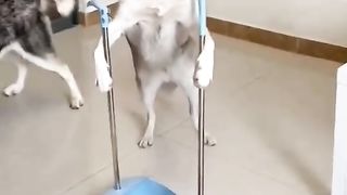 Oooooooo
