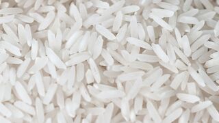 Rice grains in detail