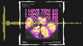 I Love You So-The Walters (Feel Koplo Remix)