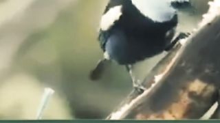 Razzaq5 - Beautiful video اور ان سے گاؤں والوں کا قصہ بیان کور جب ان کے پاس. plz subscribe and watch my video