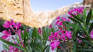 Razzaq5 - Beautiful video -Quran verses- short video - plz subscribe and watch my video