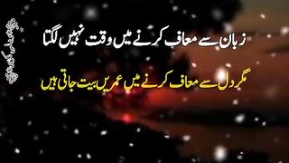 Soch samjh kar zubaan ka Istemal