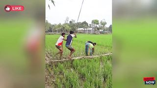 Funny video from Prindavan