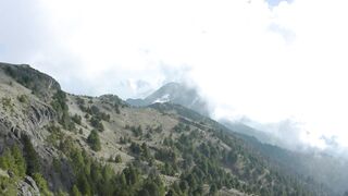 Flying over mountains with trees and mist